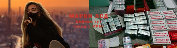 эйфоретик Арсеньев